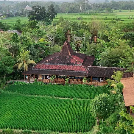 Ubud Art Resort By Wedja